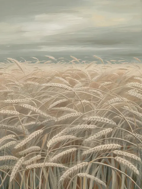 Open Field