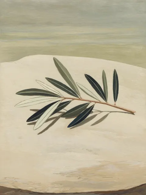 Olive Branch
